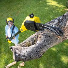 North Utica, IL Tree Care Company